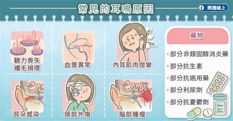 左耳一直有聲音|耳朵嗡嗡響、耳鳴怎麼辦？圖解6大耳鳴原因，4症狀速。